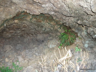 Grotta Angelo Musco